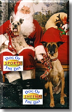 Sports and Sheena, the Dog of the Day
