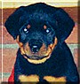 Kona