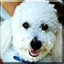 Kiko