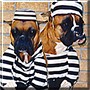 Fanci and Trudi