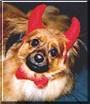 Sam