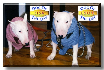 Lisa and Louie, the Dog of the Day