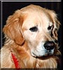 Oliver