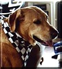 Chester