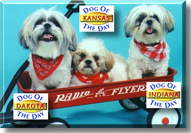 Dakota Joe, Kansas Jazz, Indiana Jones, the Dog of the Day