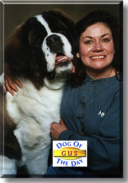 Gus, the Dog of the Day