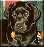 Josie