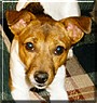Penny