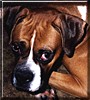 Buster