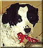 Kelly