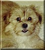 Sadie