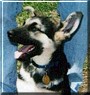 Sam
