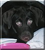 Coco