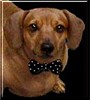 Charlie