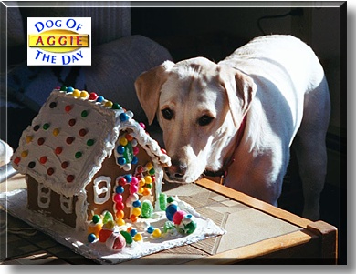 Aggie, the Dog of the Day
