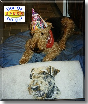 Spuds, the Dog of the Day