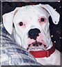 Duncan