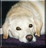 Hanna
