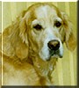 Sascha