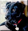 Maggie