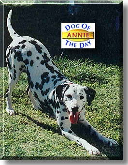 Annie Mae, the Dog of the Day