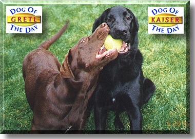Kaiser and Gretl, the Dog of the Day