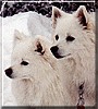 Casper, Studley