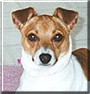 Hailey