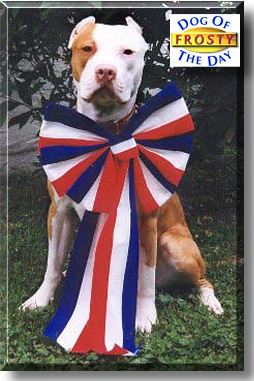 Frosty, the Dog of the Day