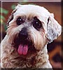 Rosie