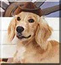 Duke