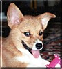 Sophie