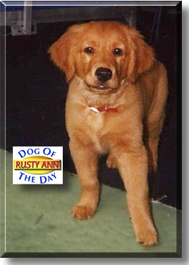 Rusty Ann, the Dog of the Day