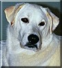 Buster