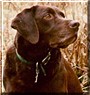 Maggie