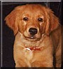 Rusty Ann