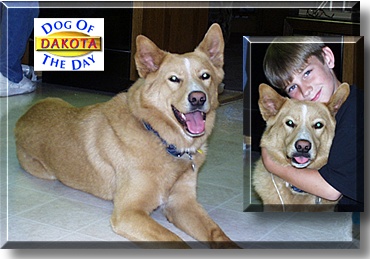 Dakota, the Dog of the Day