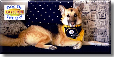 Kayleigh, the Dog of the Day