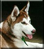 Juno