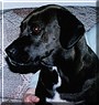 Droopy
