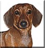 Penny