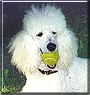 Malin