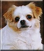 Taffy