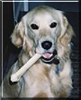 Abby
