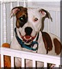 Rylee