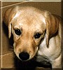 Stormie