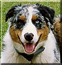 Banjo