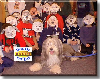 Buddy, the Dog of the Day