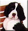 Dudley