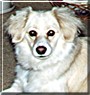 Sadie